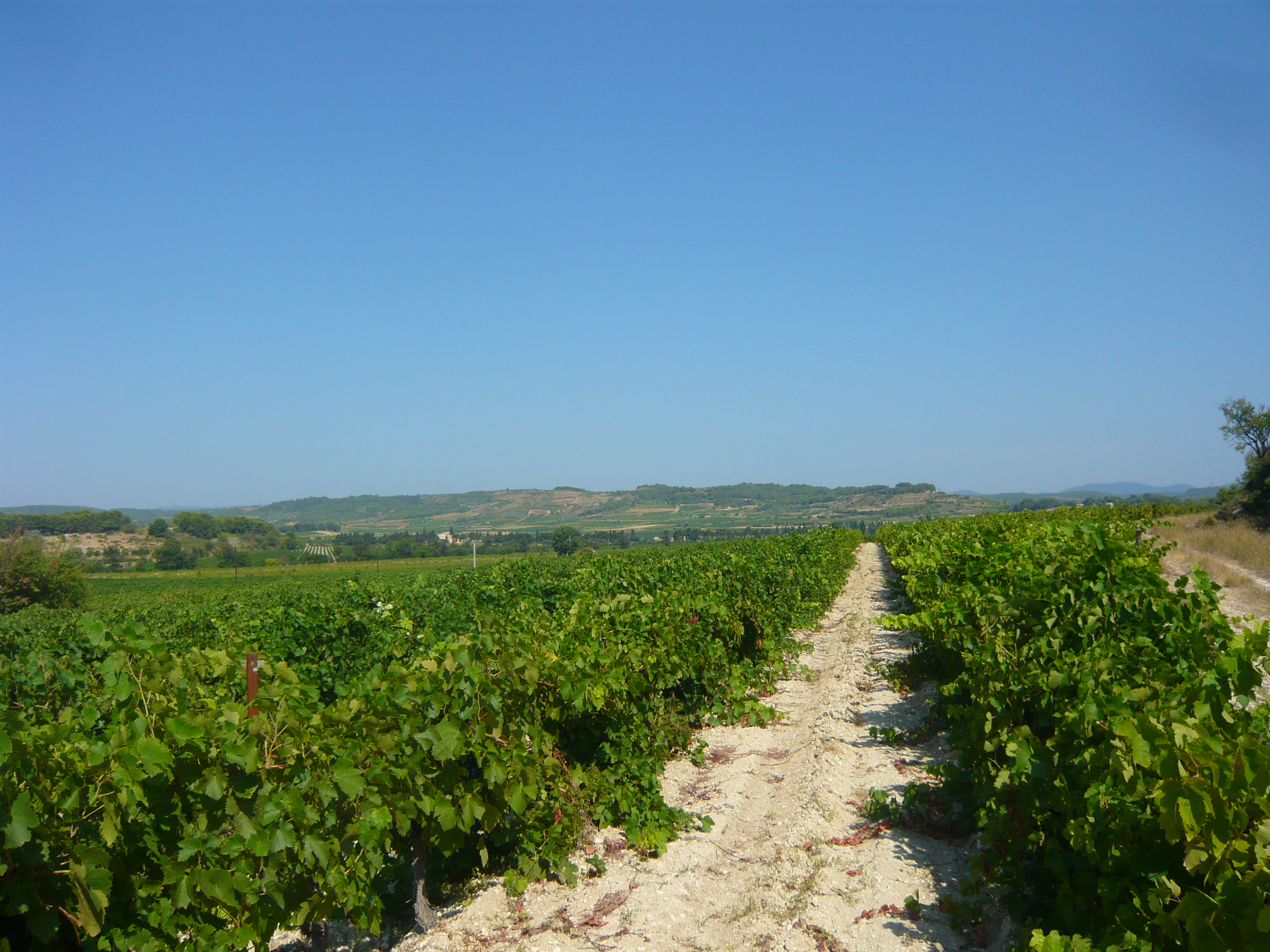 Chateau de Sériège - Vue sur le paysage de l'aude